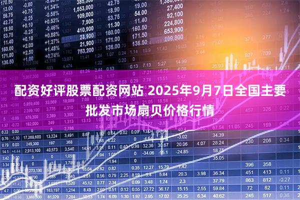 配资好评股票配资网站 2025年9月7日全国主要批发市场扇贝价格行情