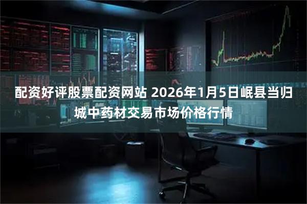 配资好评股票配资网站 2026年1月5日岷县当归城中药材交易市场价格行情